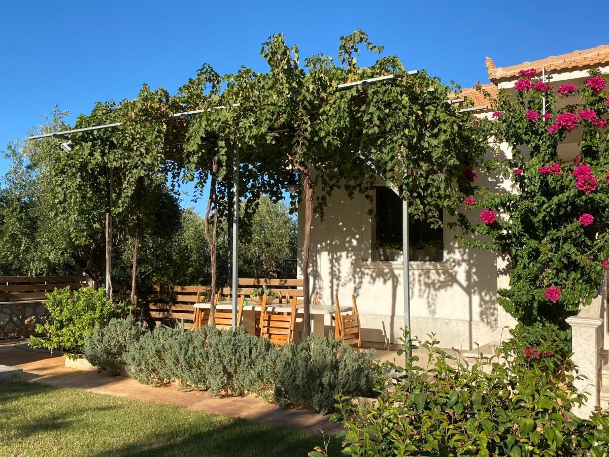 Villa Serenity Agia Marina  Eksteriør billede