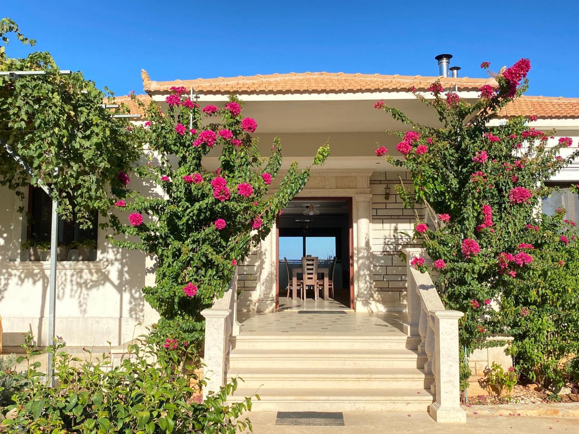 Villa Serenity Agia Marina  Eksteriør billede