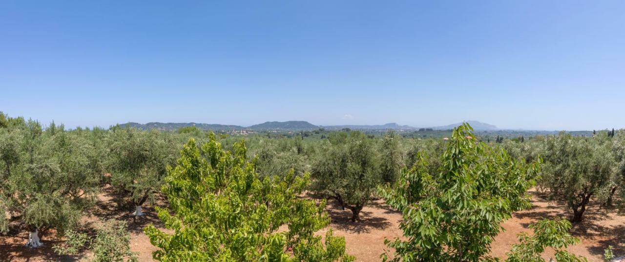 Villa Serenity Agia Marina  Eksteriør billede